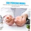 ULTECHNOVO 5pcs Realistic Ear Model Earring Display Silicone Fake Ear for Piercing Practice view 2