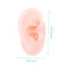 ULTECHNOVO 5pcs Realistic Ear Model Earring Display Silicone Fake Ear for Piercing Practice view 4