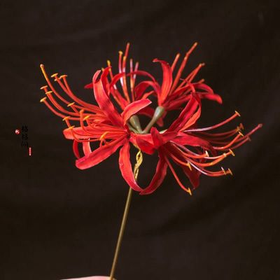 1pcs 7.48inch Rabithenn Equinox Flower Plastic Hairpin Hair Sticks for Thick Hair,Chinese Hanfu Women Hair Chopsticks Hair Accessories Handmade Hair Pins Stick (Equinox Flower)