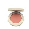 MAKEUP BY MARIO Soft Pop Powder Blush Mellow Mauve view 1