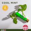BALMSHOT Lip Balm 4 Pack (Cool Mint) view 4