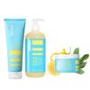 Bliss Lemon & Sage Scented Trio - Lemon & Sage Body Butter, Body Scrub and Body Wash - Daily Use Skincare - Clean, Vegan, Cruelty-Free view 1