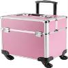 Rolling Makeup Train Case,Cosmetics Makeup Beauty Nail Salon Hairdresser Trolley Case with 12 Compartment Foam Compartment and Three Position Trolley Bar,for Make up Artists Hairdressers(Pink) view 1