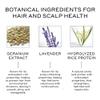 ZENAGEN Volume Foam | Lightweight Densifier + Volumizer, Boosts Hair Volume & Thickness, Provides Lightweight Hold, Nourishes & Strengthens Hair, Non-Greasy Plant-Based, Vegan, All Hair Types, 1.7 oz view 2