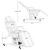 BarberPub Fully Electric Facial Bed with 3 Motor for Esthetician, Electric Tattoo Chair for Client, Facial Bed for Esthetician, Electric Adjustment 2751 (White) view 2