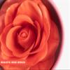 3D Rose-Shaped Cream Blush in Orange - Radiant Glow, Blendable Texture, with Real Rose Scent | Hermoso Rubor en Forma de Rosa view 4