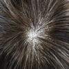 LYRICAL HAIR Toupee for Men Wavy Human Hair Replacement Systems French Lace Front Mens Toupee Grey Bleached Knots Swiss lace Male Wig Unit 8X10-120% density#250 Darkest Brown with 50% Gray view 4