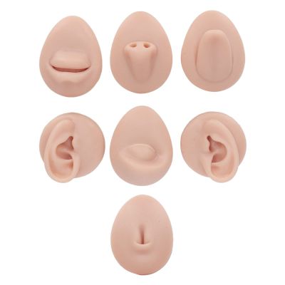 Soft Silicone Flexible Model Body Part Displays Set Body Piercing Practice Model Simulation Ear Model for Jewelry Display Teaching Tool (middle)
