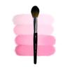 Cinema Secrets P74- Precision Powder Brush view 3