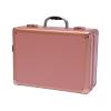 YIYIBYUS Makeup Train Case, 2 Layers Professional Make-up Bag With Light Up Mirror Travel Cosmetic Artist Organizer Box Makeup Cases for Make-up Artists, Hairdressers (Rose Gold) view 4