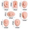 Silicone Piercing Practice Body Parts Model, 7 Pcs Ear Nose Tongue Mouth Belly Button Display Models Set for Piercing Practice Acupuncture Jewelry Display Teaching view 2