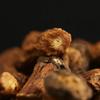 Dandelion Root Tea,Radices Taraxaci,Pu Gong Ying Gen,Natural Organic Herbal Supplements Bulk Herbs Tea. (500 Gram) view 2