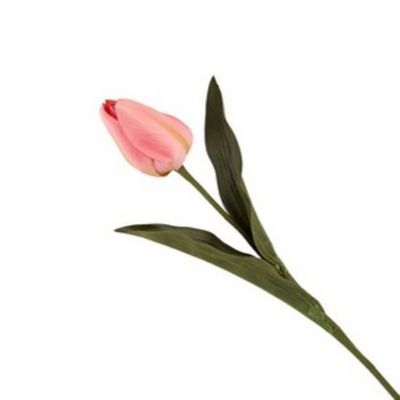 VEA SRL ILM4089 STELO P. TULIPANO NIN42637, See Photo