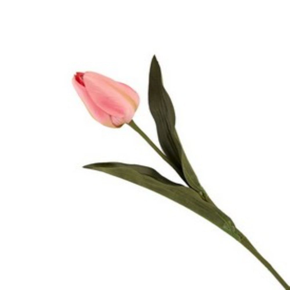 VEA SRL ILM4089 STELO P. TULIPANO NIN42637, See Photo
