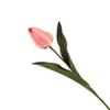 VEA SRL ILM4089 STELO P. TULIPANO NIN42637, See Photo view 1