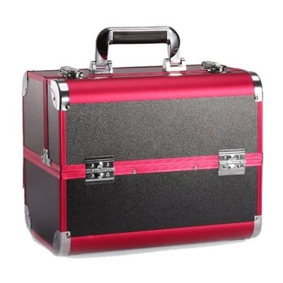 RMENST Makeup Train Case Beauty Cosmetic Box 2-Trays Jewelry Storage Organizer with Lockable for Women and Girls