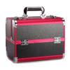 RMENST Makeup Train Case Beauty Cosmetic Box 2-Trays Jewelry Storage Organizer with Lockable for Women and Girls view 1