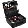 RMENST Makeup Train Case Travel Makeup Bag Professional Cosmetic Storage Case Organizer for Cosmetic Brushes Tools (Color : Black) view 1