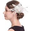 1920s Hair Clip Wedding Bride Flapper Feather Headband Crystal White Headwear Fascinator Hair Accessories Prom Bridal Hair Jewelry Women Girls Black,White view 1