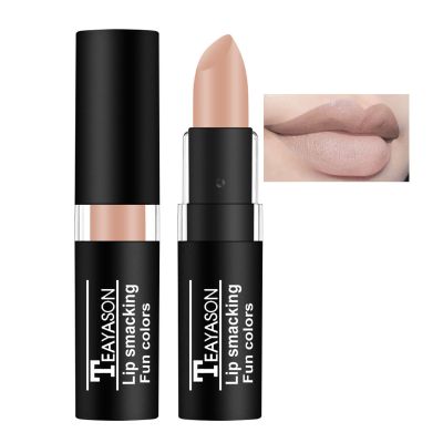 AKARY Earth Color Matte Lipstick Makeup, Long-Lasting Wear Lip Gloss Goth Vintage Lipstick Cosmetics Party Makeup, Professional Foundation for Women Halloween Party Cosplay, Special Effects Make Up