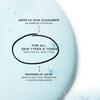 Biba De Sousa, The Mandelic Cleansing Gel - Gentle, Sulfate-Free Foaming AHA and Mandelic Acid Skin Cleanser- Antioxidant Botanical Blend - For All Skin Types (8 ounce) view 2