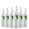 LEUDINE Foot Lotion  Pack of 6 - Foot Care Cream with Arnica, Cocoa Seed Butter, Vegetable Glycerin, Mint  Foot Lotion for Dry Cracked Feet and Calluses  Refreshing and Moisturizing Foot Cream view 1