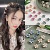Small Crystal Hair Claw Clips for Women Girl, Multicolor Mini Pearl Flower Claw Design, Sweet Daisy Artificial Bangs Decorative Hair Accessories (Multicolor20) view 3
