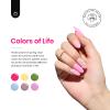 beetles Gel Polish 36 Colors Nail Set Sparkle Glitter with Gel Polish Nail Set 6 Colors Ultimate Monochrome Collection Nude Jelly Transparent Diy Manicure Kit for Women Girls view 4