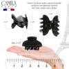 Camila Paris CP3550 French Hair Clip for Women, Small, Black 2.5 Inch Girls Hair Claw Clips Jaw Fashion Durable Styling Hair Accessories for Women, Strong Hold No Slip Grip, Made in France view 3
