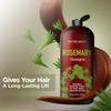 Rosemary Shampoo - Rosemary Shampoo for Hair Growth Organic - Promotes Hair Growth & Scalp Health - Volumizing Formula for Thicker Healthier Hair - Sulfate & Paraben Free, for Men Women - 16 fl oz view 4