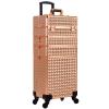 AROUS 5 in 1 Rolling Makeup Train Case Cosmetology Case on Wheels Large Cosmetic Organizer Travel Cart for Hairstylist Artist Nail Beauty Salon Barber,Gold view 1