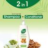 Anja Naturals Strong & Healthy Anti Hairfall 2 In1 Shampoo With Active Conditioner, With Almonds And Green Gram Sprouts, 400ml view 4
