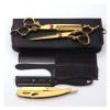 6.0 Inch Golden Hairdressing Tool Set,Scissors,Barber Scissors,Flat Scissors,Bangs Scissors,Tooth Scissors,Thinning Hair Cutting Shears view 1