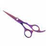 5.5 Inch Or 6 Inch Barber Shop,Hairdressing Scissors,Hair Salon Supplies,Professional Hairdressing Scissors,Flat-Cut Hair Thinning Scissors Hair Cutting Shears(Purple Cutting) view 1