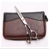 6 Inch Barber Scissors,Professional Hairdresser,Scissors and Thinning Scissors for Hair Salon Styling Hair Cutting Shears(Beige) view 1