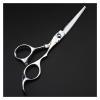 5.5/6 Inch Barber Scissors,Barber Scissors,Sparse Barber Scissors,Scissors Hairdresser Scissors Hair Cutting Shears(Thinning) view 3
