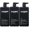Blackwood For Men Active Man Daily Shampoo (17 Oz), Conditioner (17 Oz), and Pure Moisture Body Wash (17 Oz) Bundle view 1