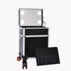4 in 1 Rolling Makeup Artist Trolley Travel Cosmetic Removable Wheels With LED light 10 level lift dimming Professional Artist Box,Black,36x25x64cm (Black 36x25x54cm) view 1