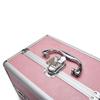 Cosmetic Case Vanity kable Beauty Makeup Nail Jewelry Portable Case Storage Box view 4