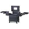 Aluminum Alloy Cosmetic Case Trolley with Wheel Beauty Vanity Case Salon Toolbox Multi-Layer Nail Storage Box view 3