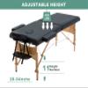 2 Section Foldable Massage Table, Height Adjustable Portable Massage Table Lash Bed Massage Bed with Carrying Bag Face Cradle Armrest & Hand Pallet, Lightweight Wooden Frame Massage Tables, BLACK view 3