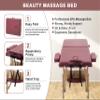 2 Section Foldable Massage Table, Height Adjustable Portable Massage Table Lash Bed Massage Bed with Carrying Bag Face Cradle Armrest & Hand Pallet, Lightweight Wooden Frame Massage Tables, BURGUNDY view 4