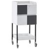 BarberPub Salon Storage Rolling Cart with Casters, Contrast Panel Craft Art Utility Station, Spa Organizer Serving Trolley 2007 (White&Grey) view 1
