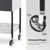 BarberPub Salon Storage Rolling Cart with Casters, Contrast Panel Craft Art Utility Station, Spa Organizer Serving Trolley 2007 (White&Grey) view 4