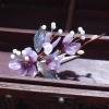 1 Pcs 6inch Rabithenn Purple flower vine Barrettes for Women Chinese Hanfu Classic Acrylic Resin Pearl Hair Clips Flower with Metal Handmade Hair Accessories for Women Girls Long Hair (Purple) view 2