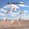6 Inch Long Cotton Swabs,500pcs Cotton Swabs,Long Cotton Swabs with Wooden Handle,Great for Gun Cleaning,Pet Care and Makeup view 3