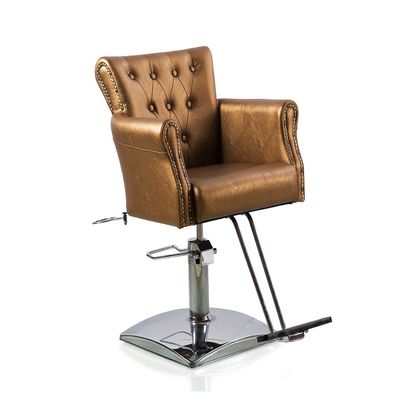 Beautynao Salon Chair Barber Chair Styling Beauty Chair Cutting Chair Salon Professional Home Salon (Gold)