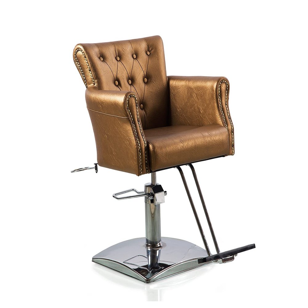 Beautynao Salon Chair Barber Chair Styling Beauty Chair Cutting Chair Salon Professional Home Salon (Gold)