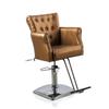 Beautynao Salon Chair Barber Chair Styling Beauty Chair Cutting Chair Salon Professional Home Salon (Gold) view 1