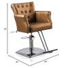 Beautynao Salon Chair Barber Chair Styling Beauty Chair Cutting Chair Salon Professional Home Salon (Gold) view 2